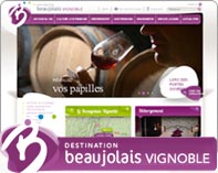 Destination Beaujolais vignoble